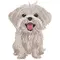 Custom Embroidery Digitizing