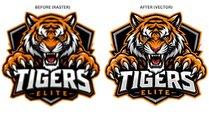 Vector Tracing Services
